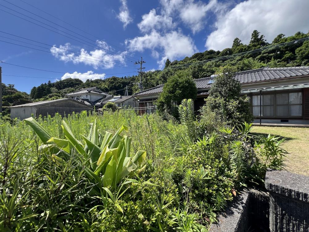 庭