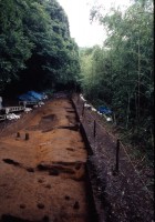 遺跡全景