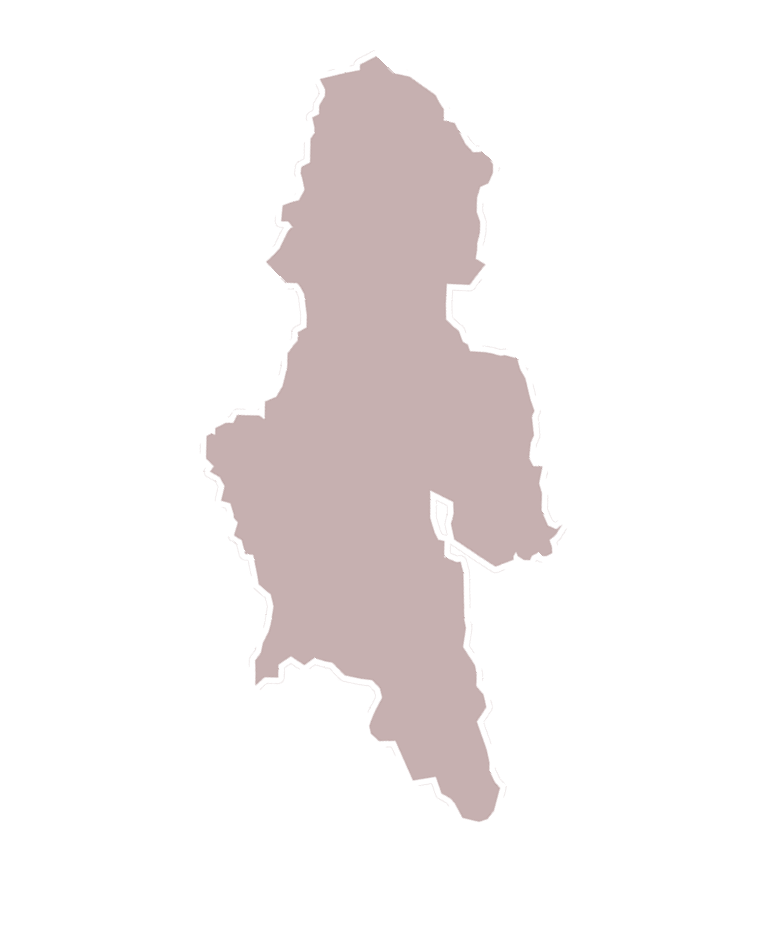 鹿屋市地図