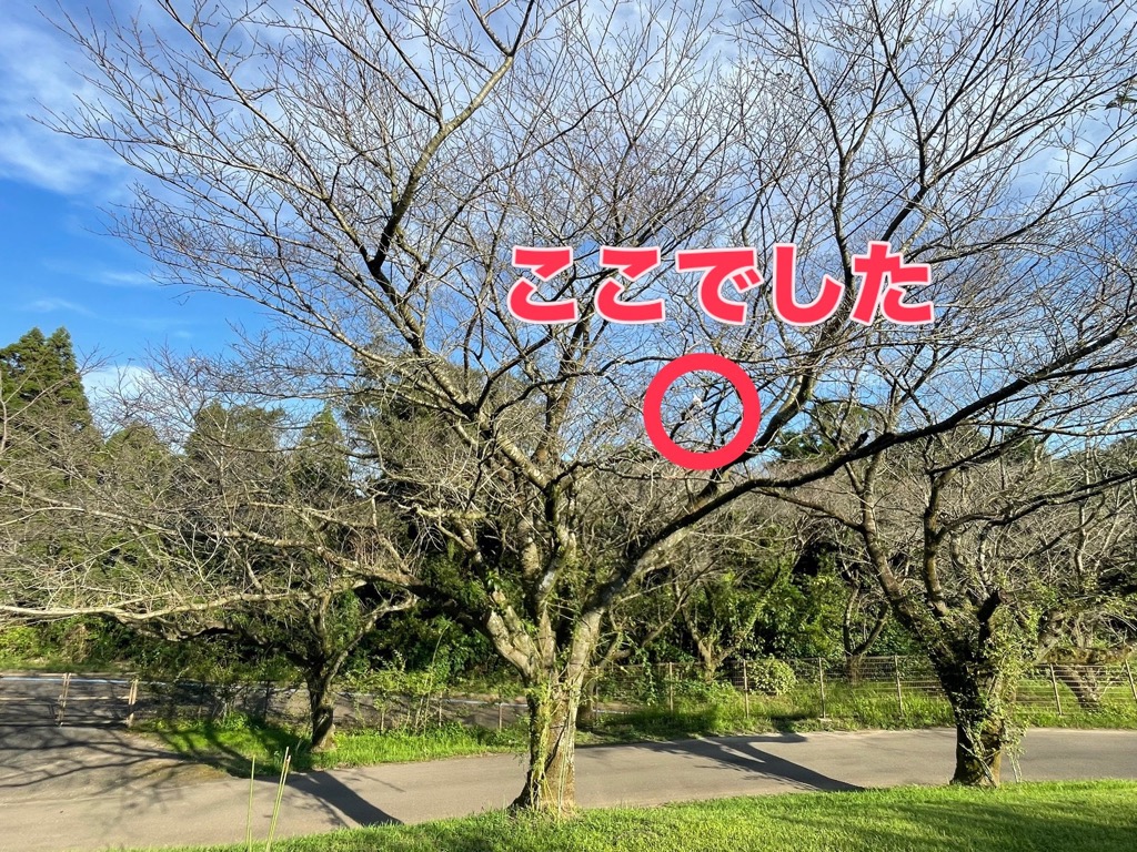 26100105