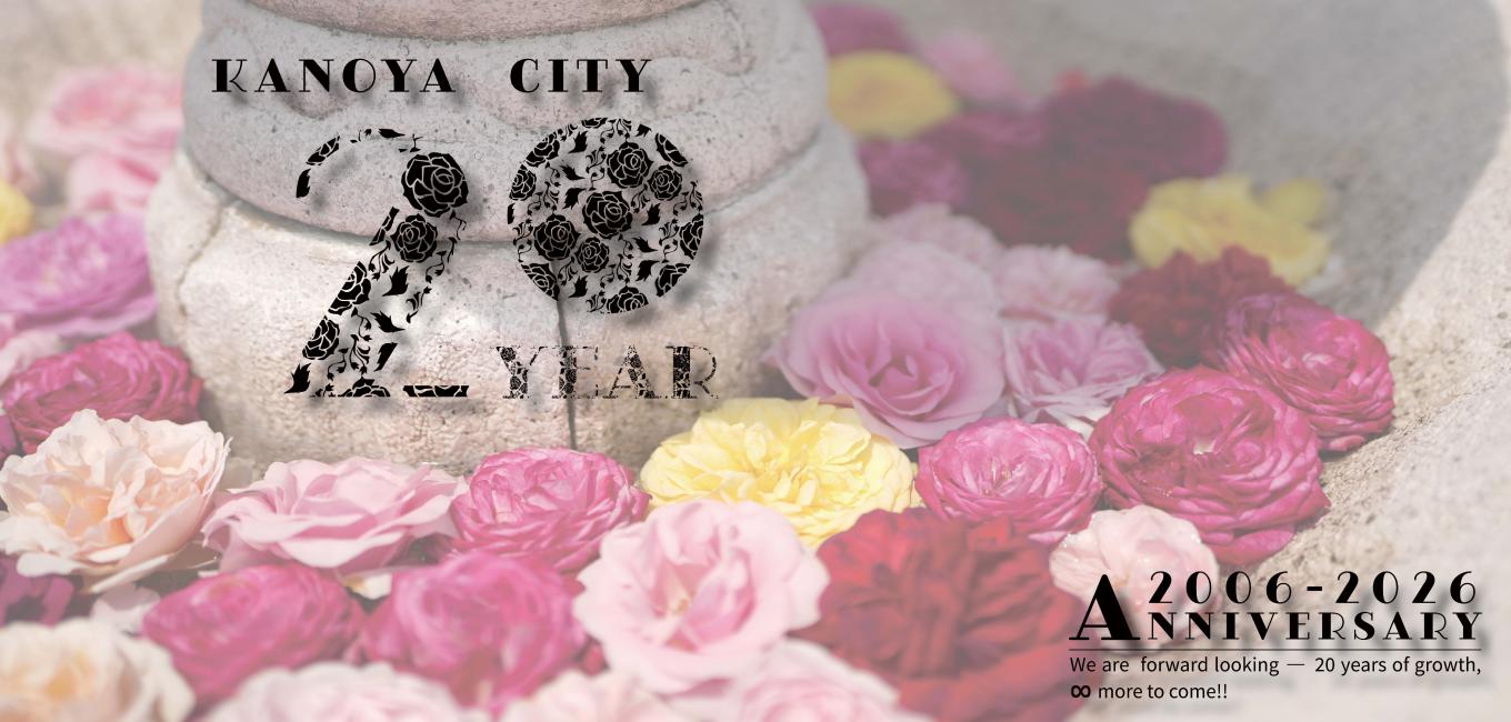 20周年