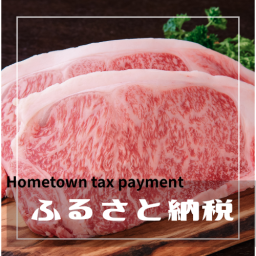 納税