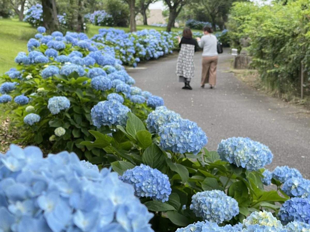 田の神ロード