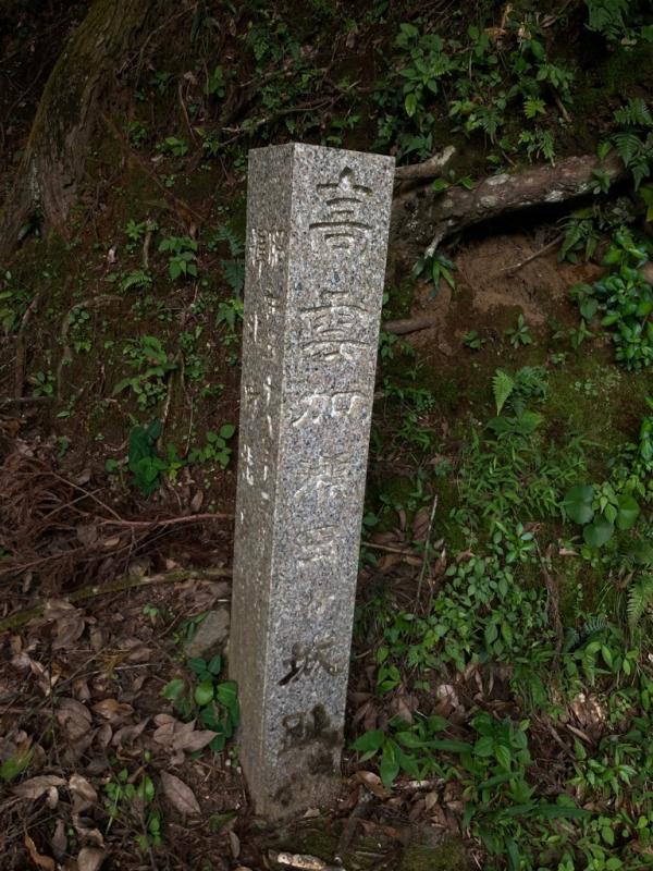 kasedagajyouhi