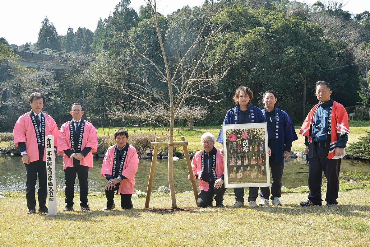 薩摩本格芋焼酎生産者協議会が玉泉寺公園に桜を寄贈