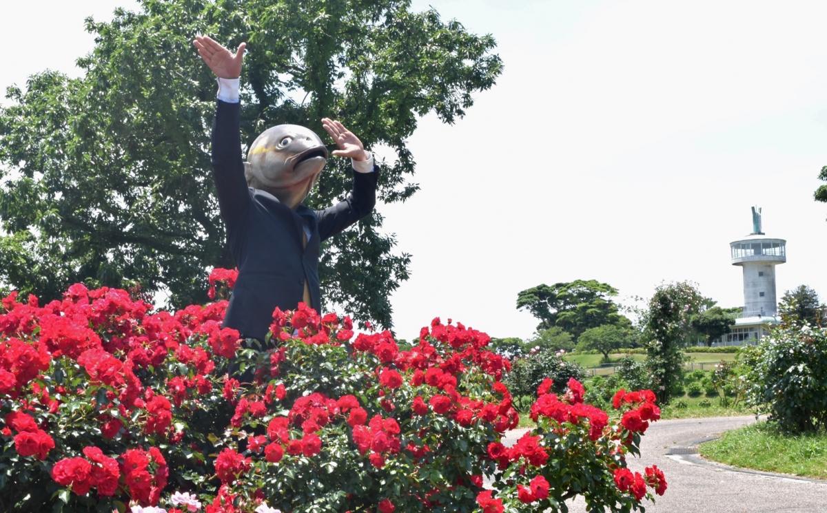 霧島ヶ丘公園6