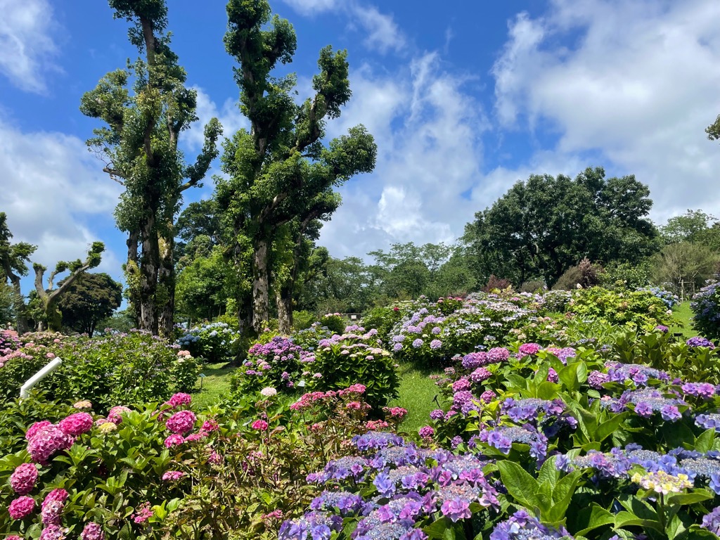 7月