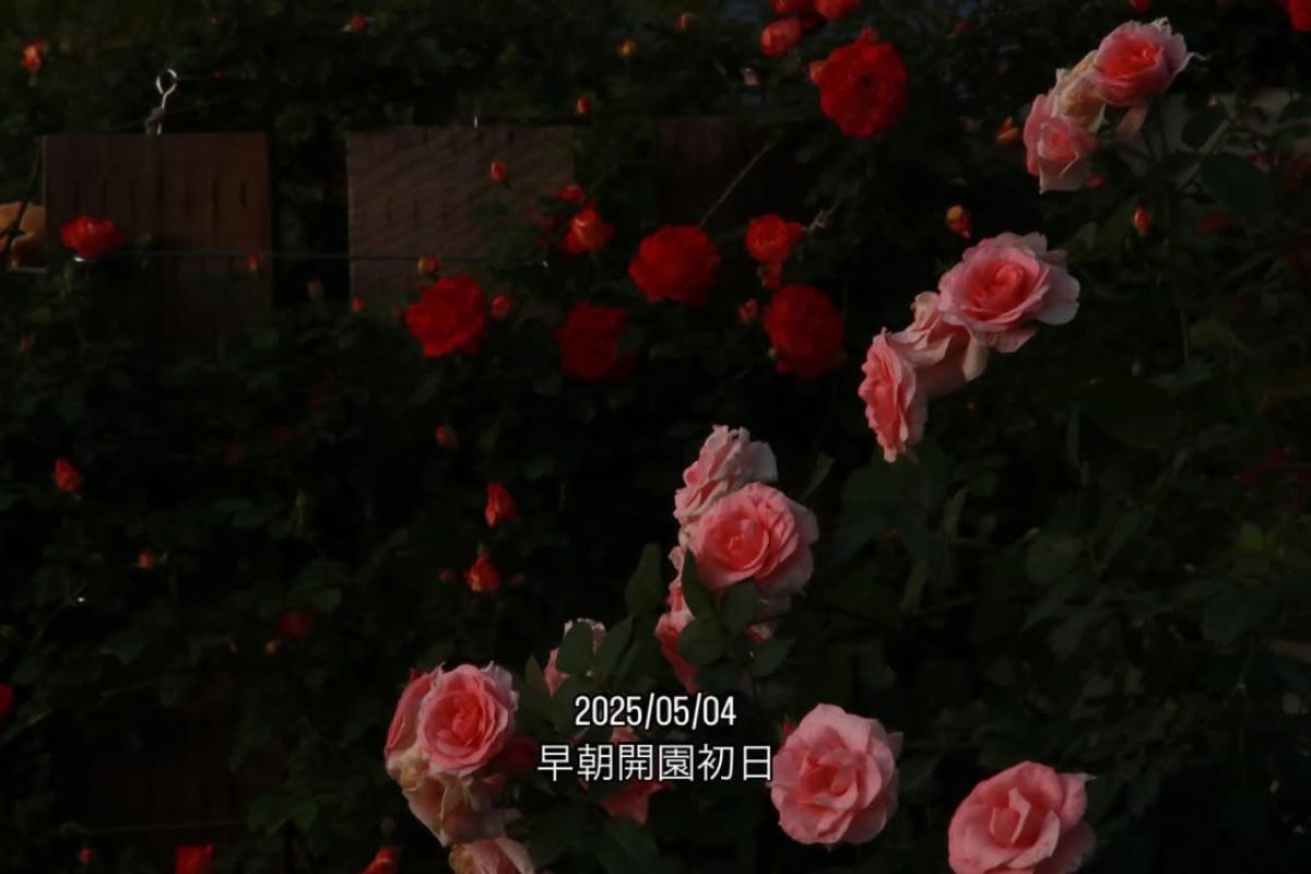 25050401