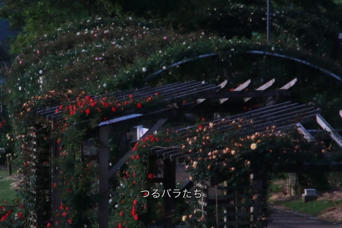25050406