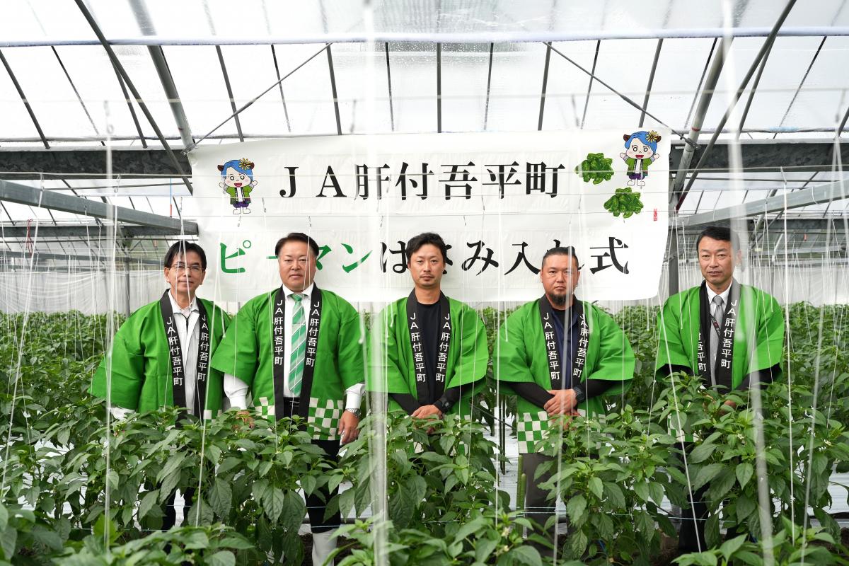 新規就農者、ピーマンを初出荷