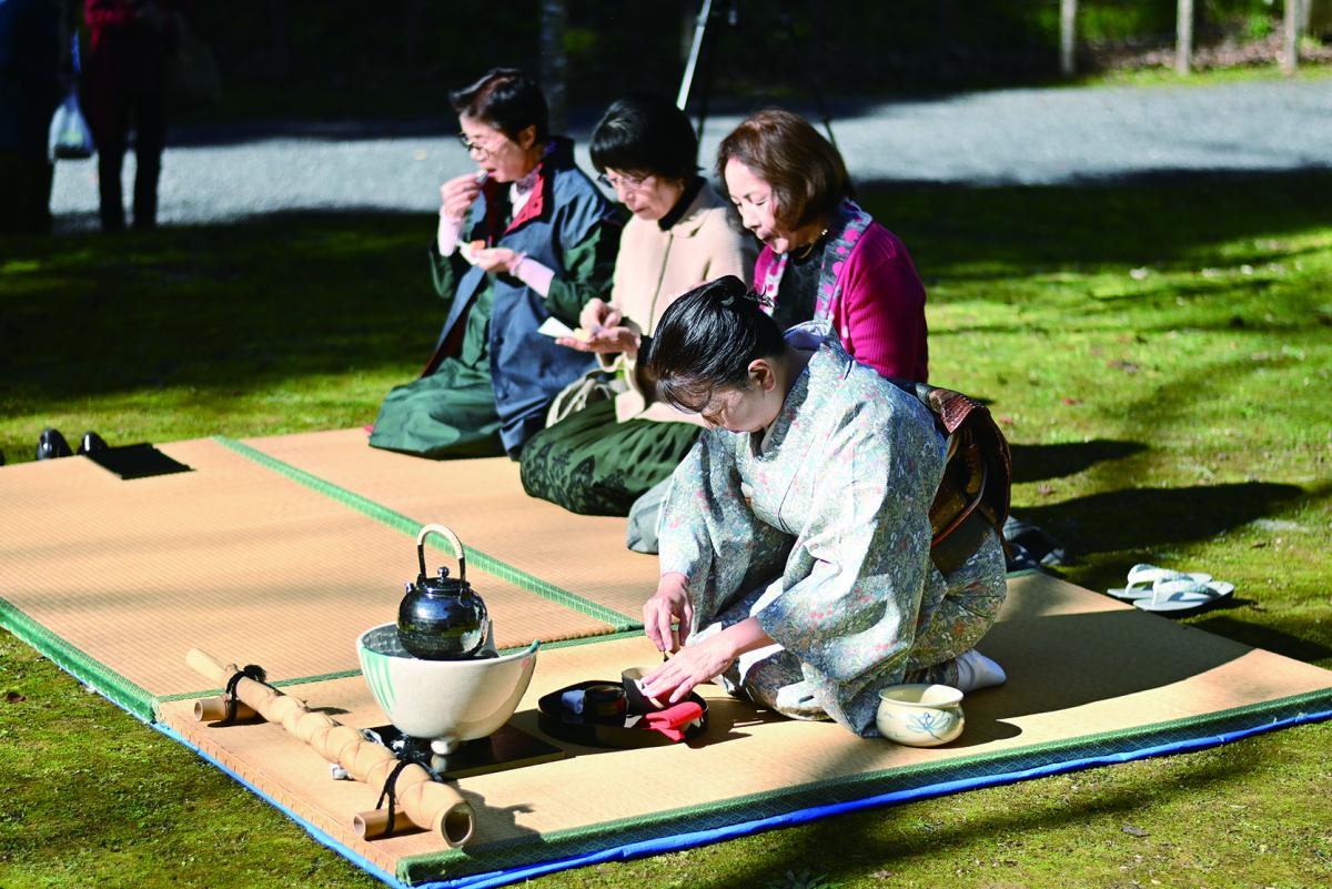 紅葉とイチョウの色合いに囲まれて