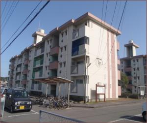 白崎弥生