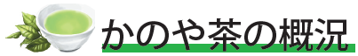 概況