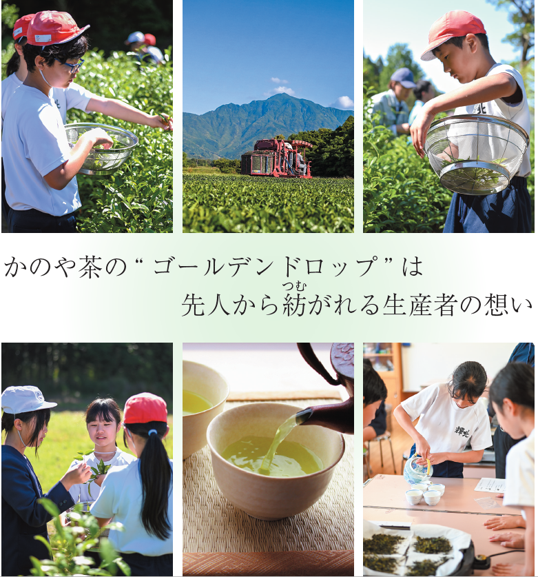 締め
