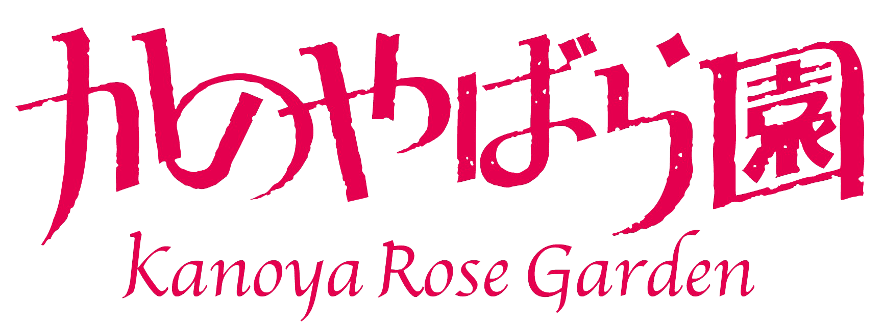 ばら祭り