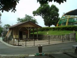 syoudoubutu02