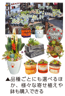 種類