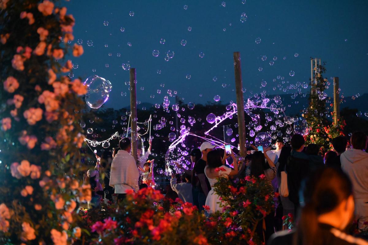 夜間特別開園1