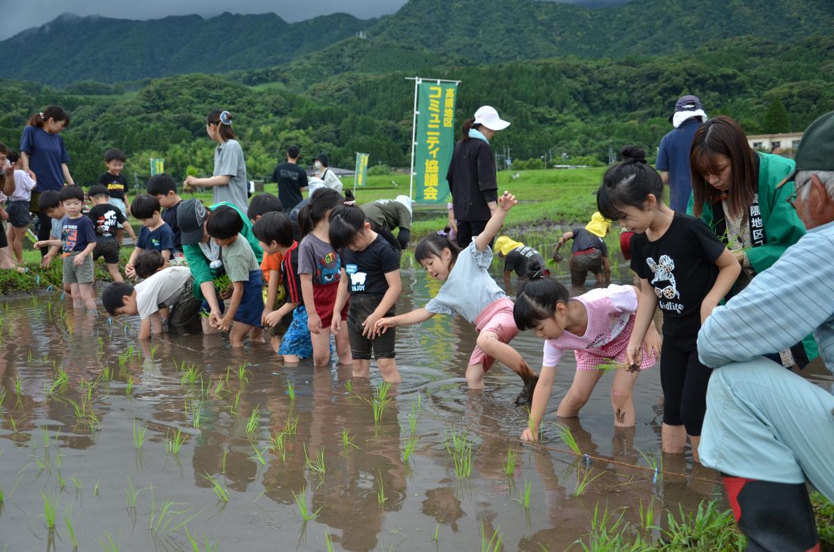 お田植え行事1