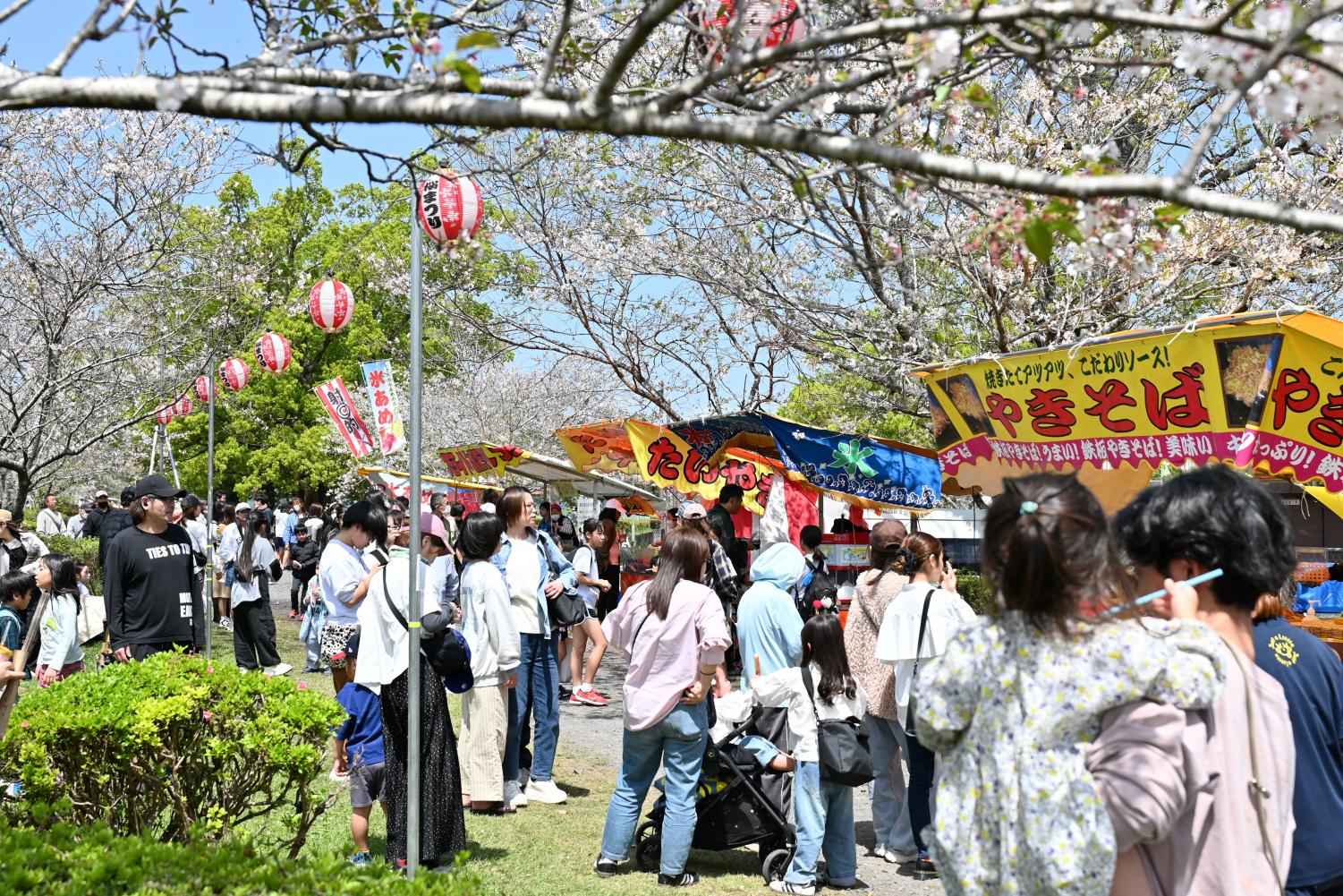 くしら桜まつり1