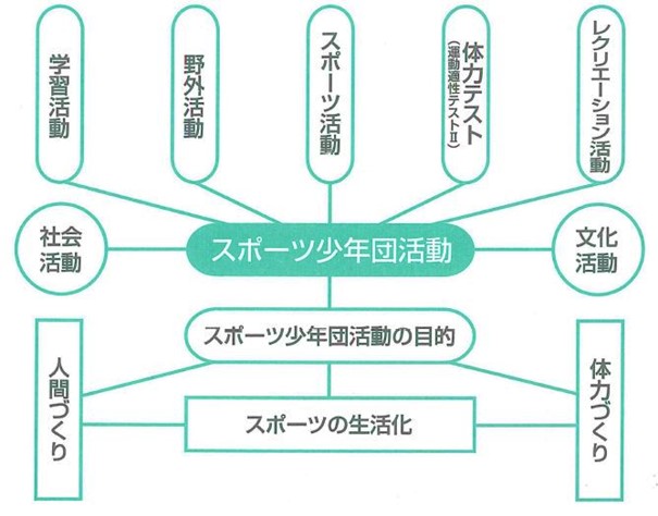 活動分野