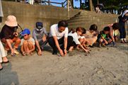 海ガメ放流会（浜田海水浴場）