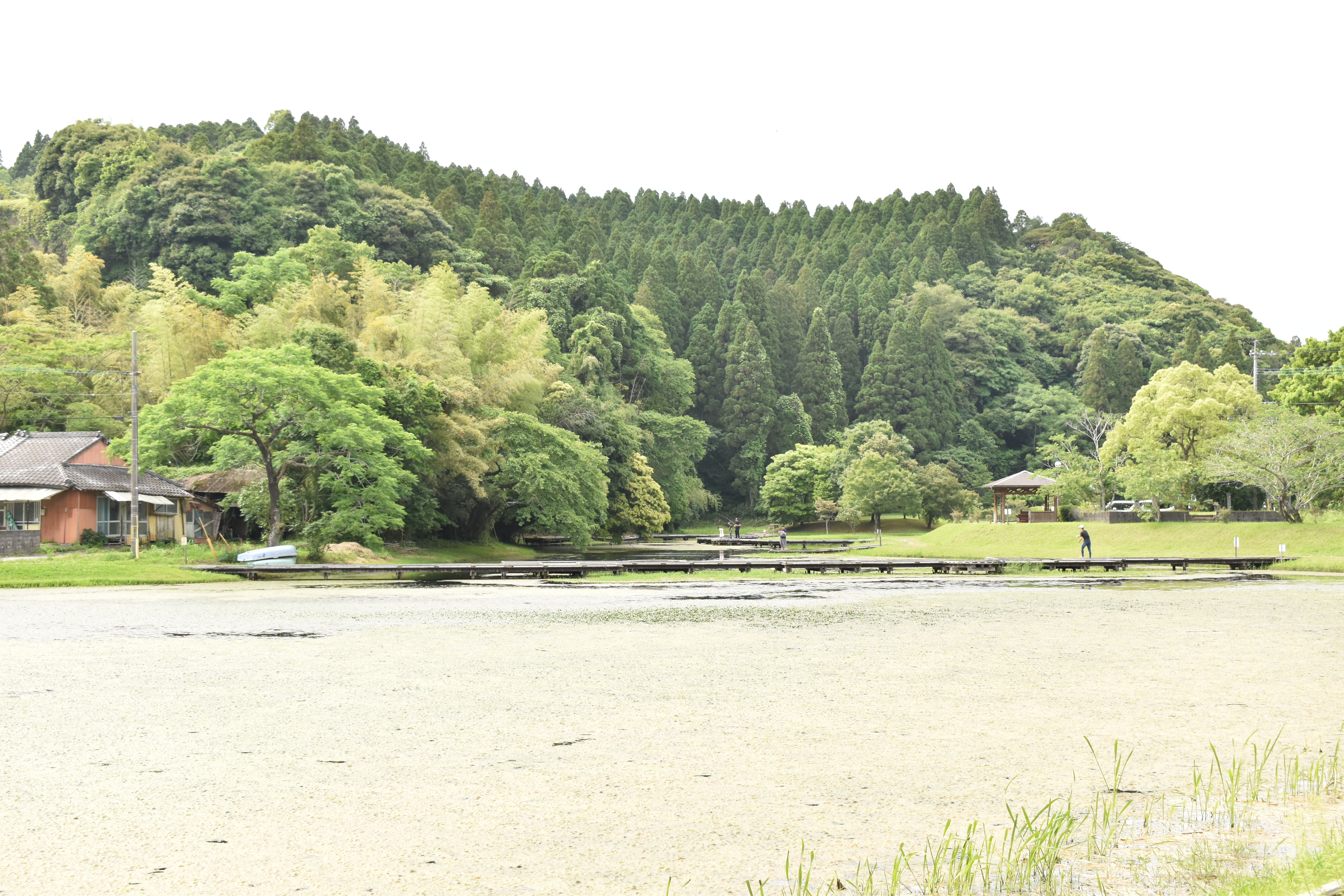 中山池公園