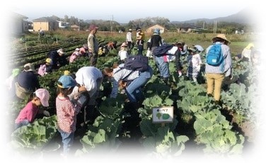 農業・農村戦略ビジョンの取組