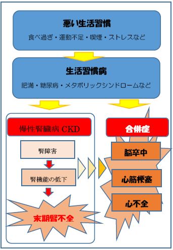 腎臓 の 病気