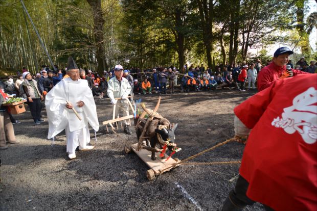 鉤引き祭り