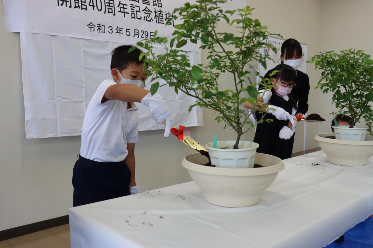 図書館2