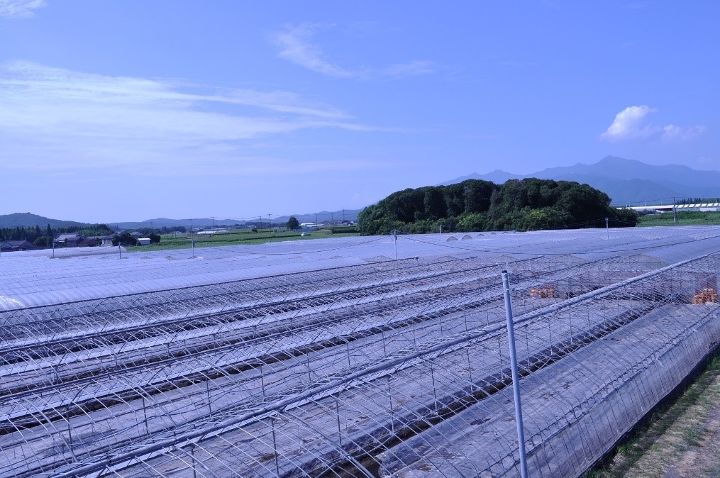 三和物産
