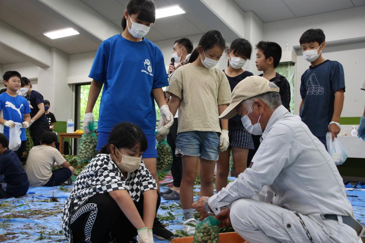 市内小中学生が落花生収穫体験(2)
