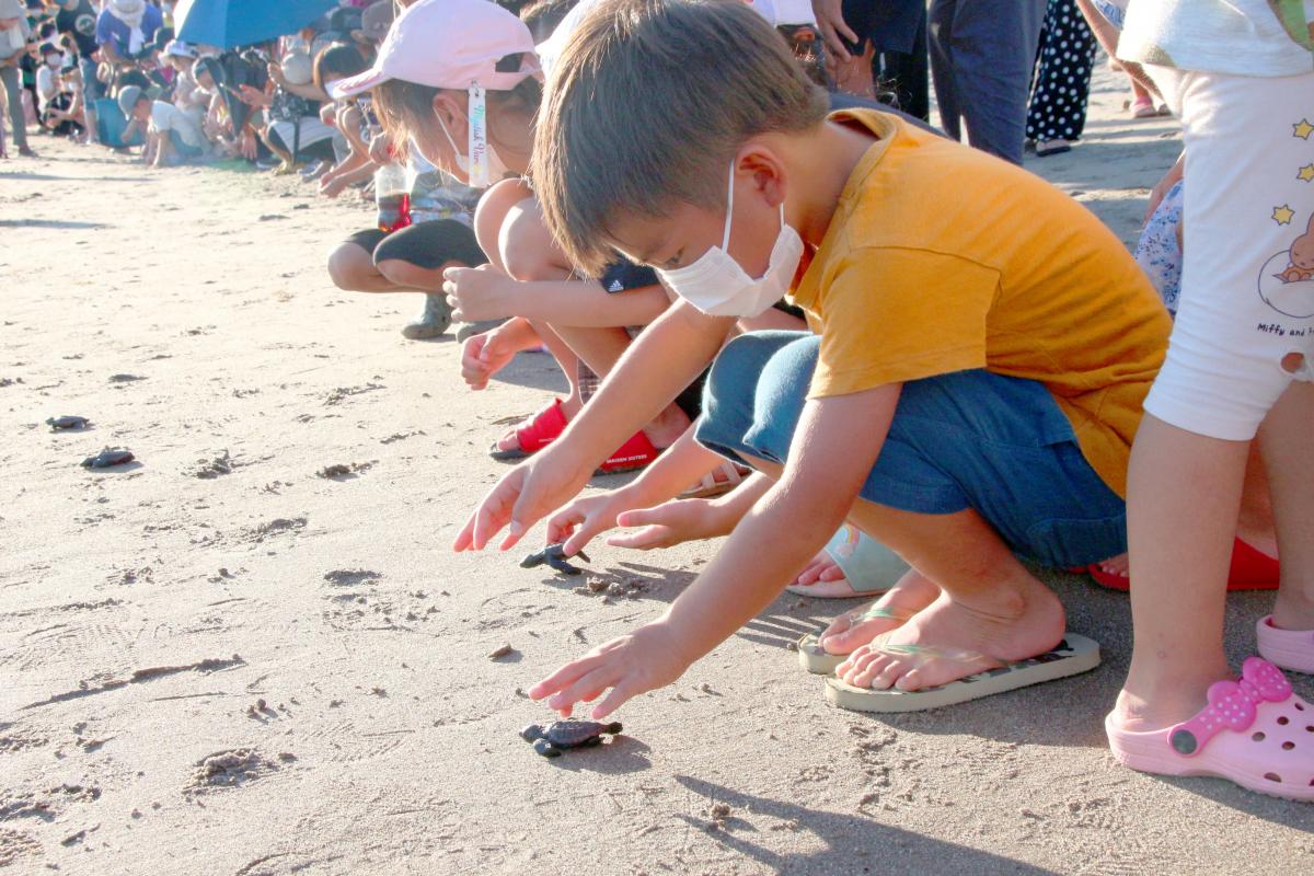 ウミガメ放流会(1)