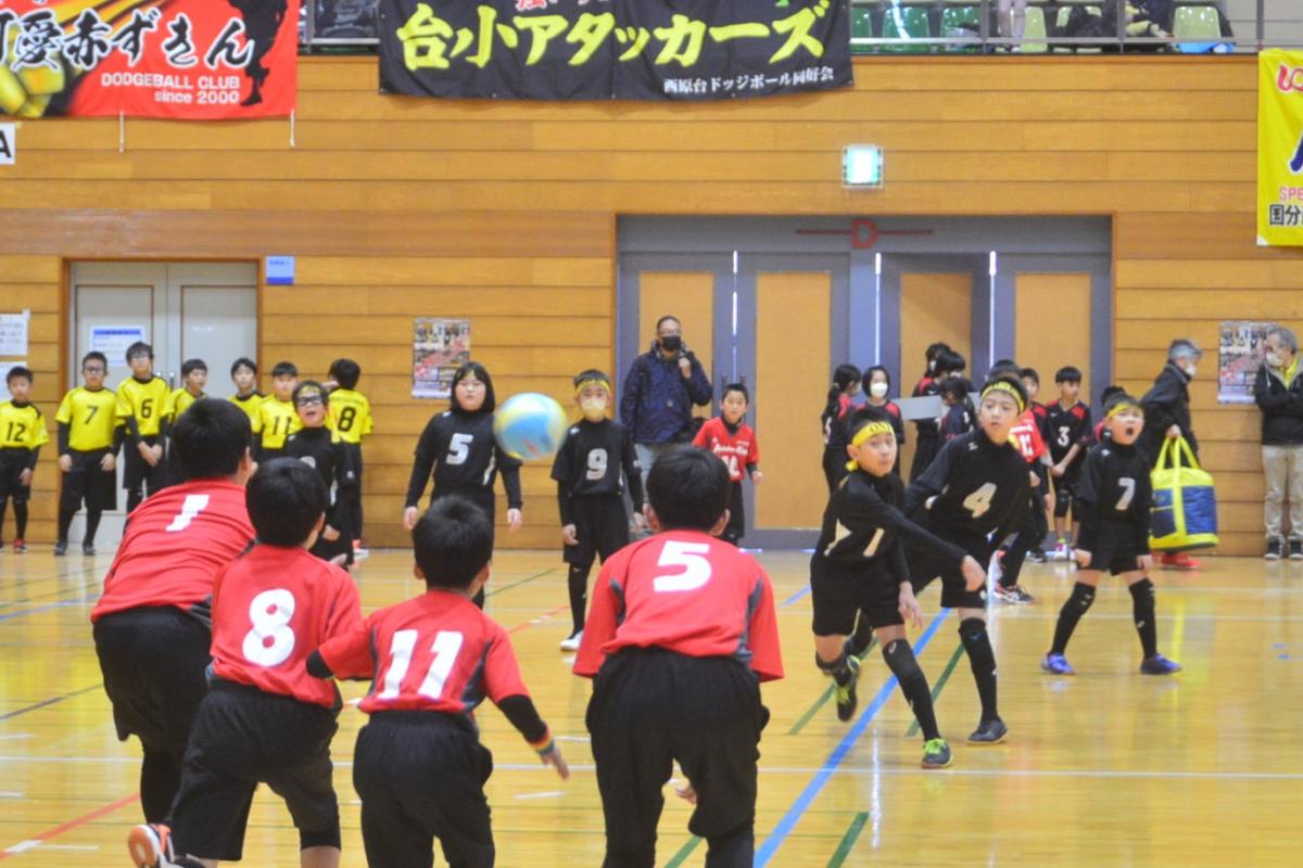 ドリームカップドッジボール大会(2)