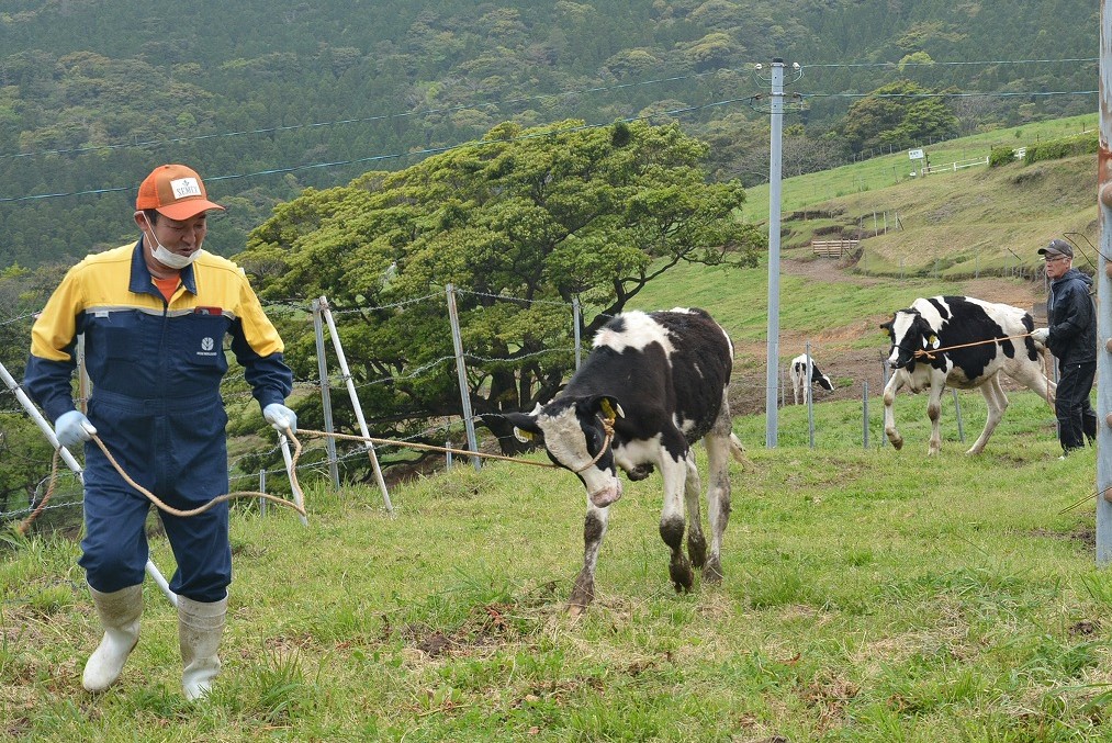 鳴之尾牧場春の入牧式(2)