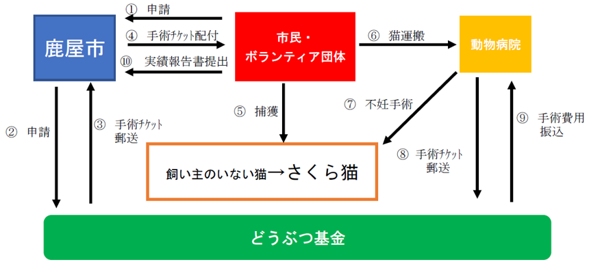 主な流れ