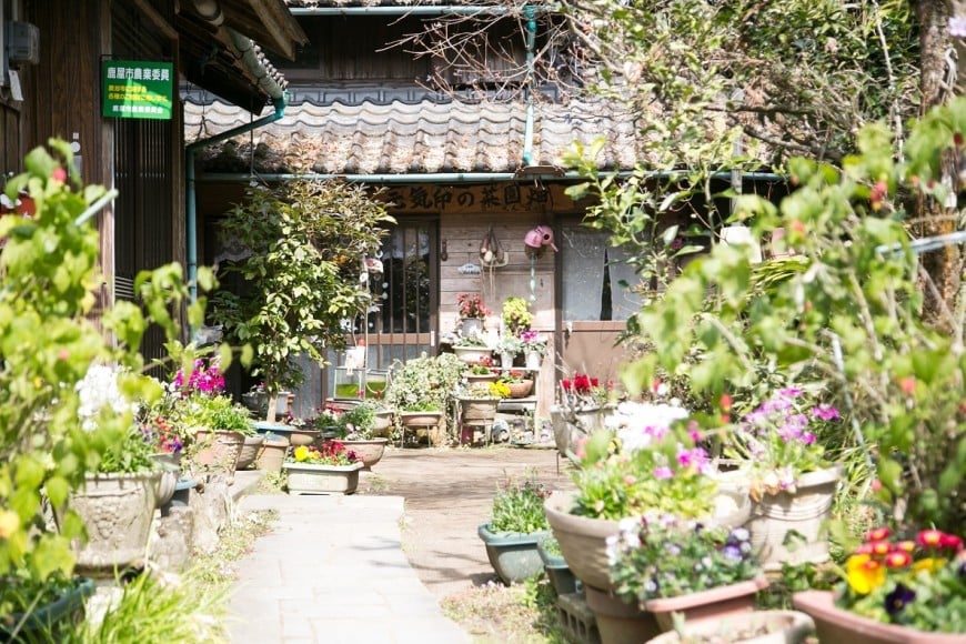 元気印の菜園ばっけ