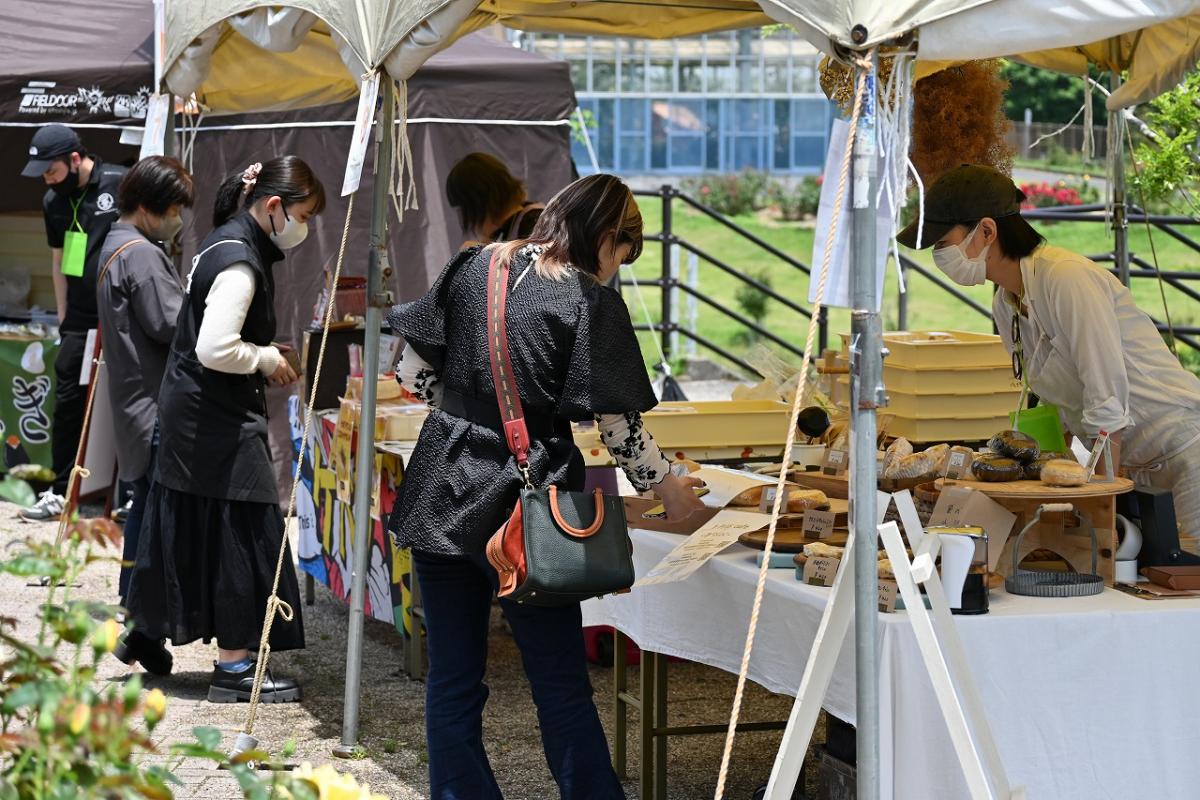 ばら祭り(1)