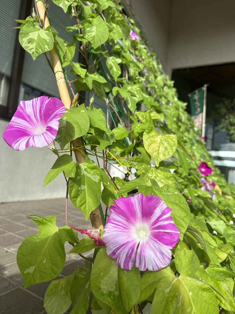 高隈地区交流促進センター