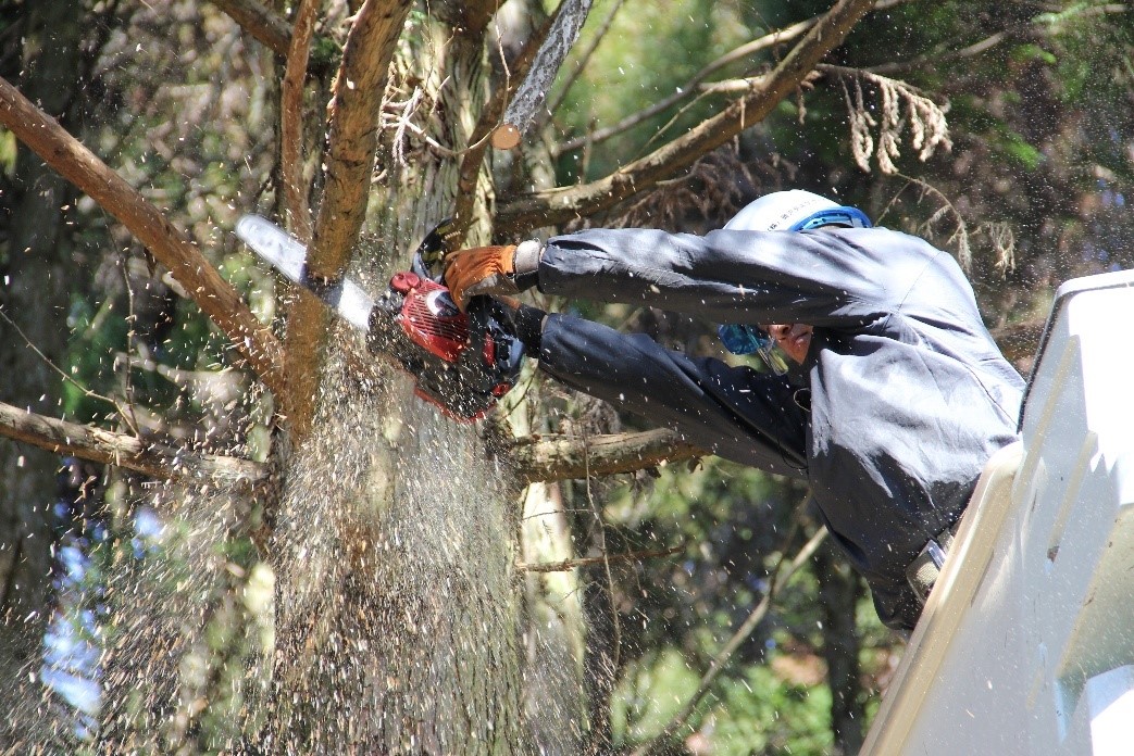 鹿児島電気サービス