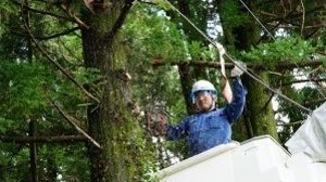 鹿児島電気サービス